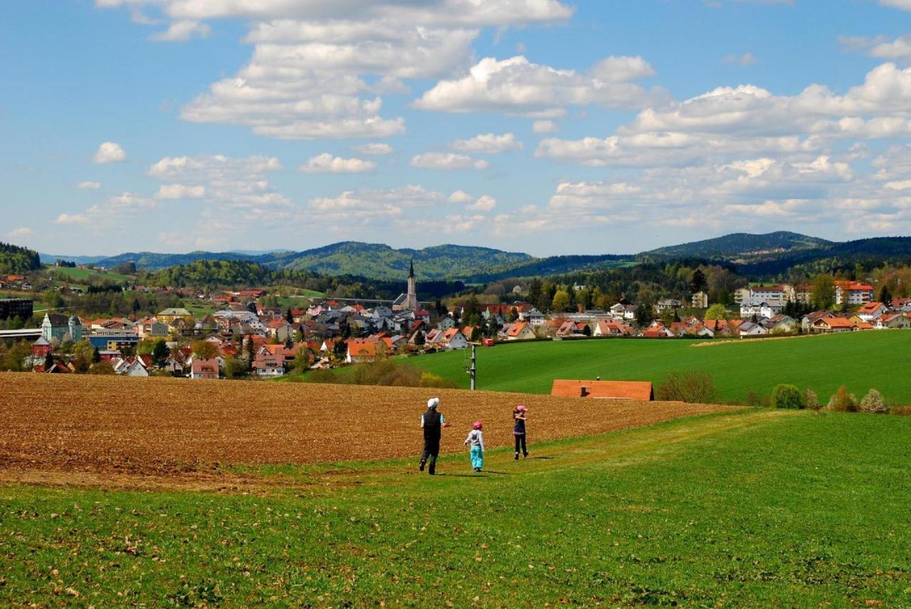 Ferienwohnung Geyersberg Inklusive Aktivcard Bayerischer Wald Freyung Exterior photo